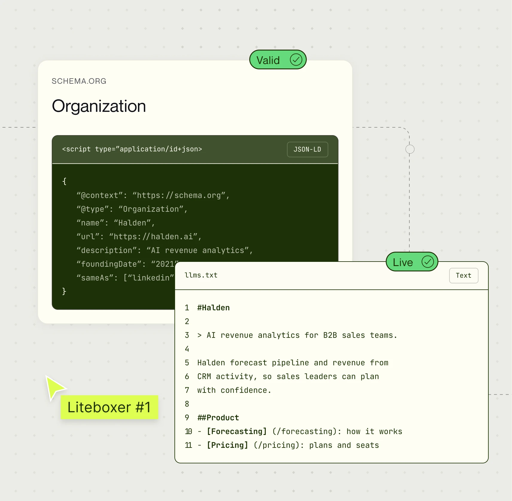 Organization schema markup marked valid next to a live llms.txt file for the same company