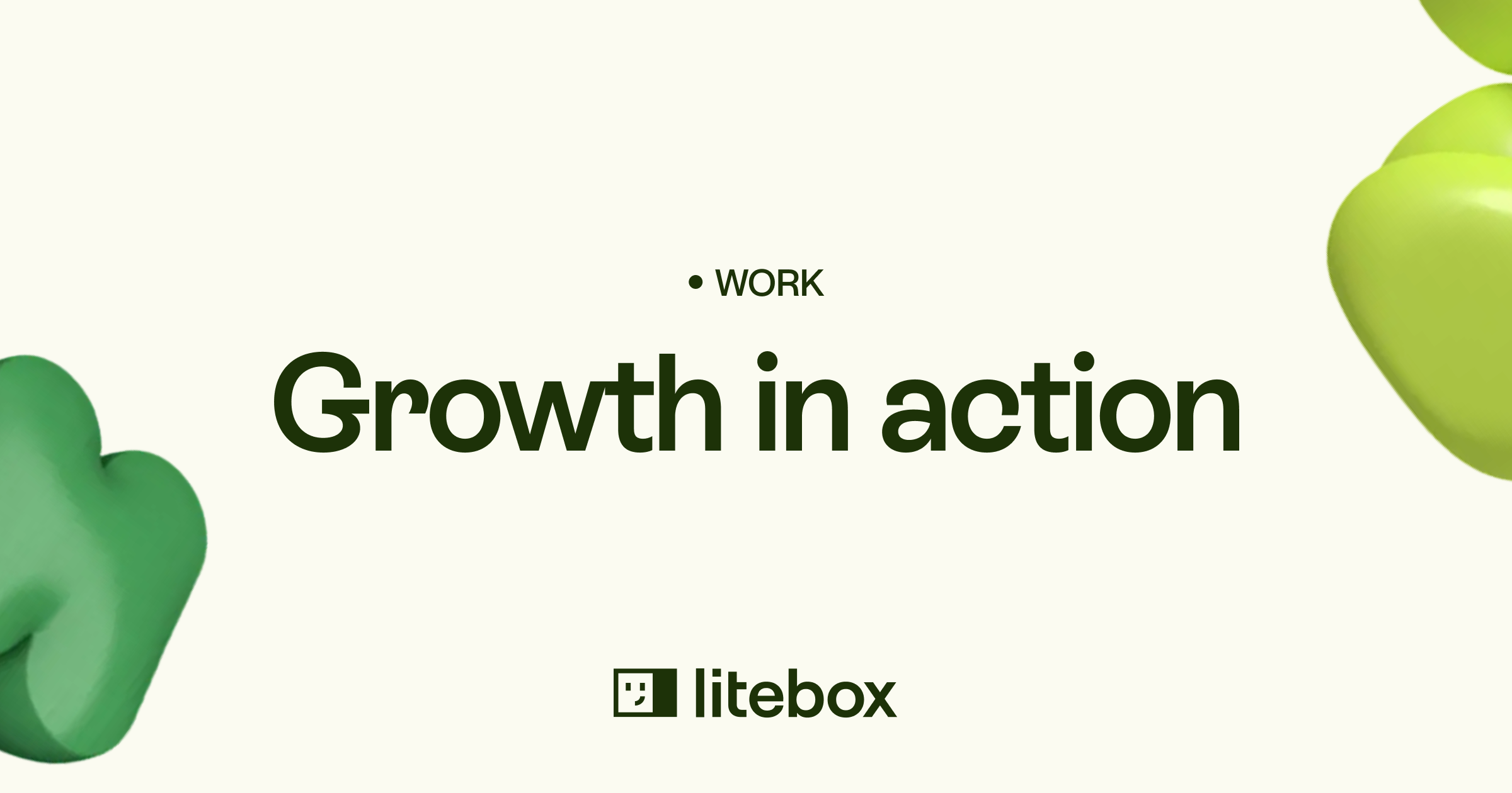 Our Work | Case Studies & Success Stories | Litebox